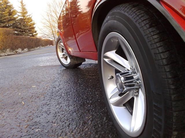 Павел Дворниченко & Юлия | Николаев