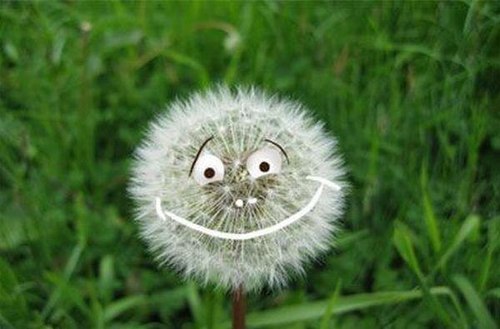 Ирина Шкода | Bonn