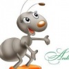 Аватар: Lady Ant