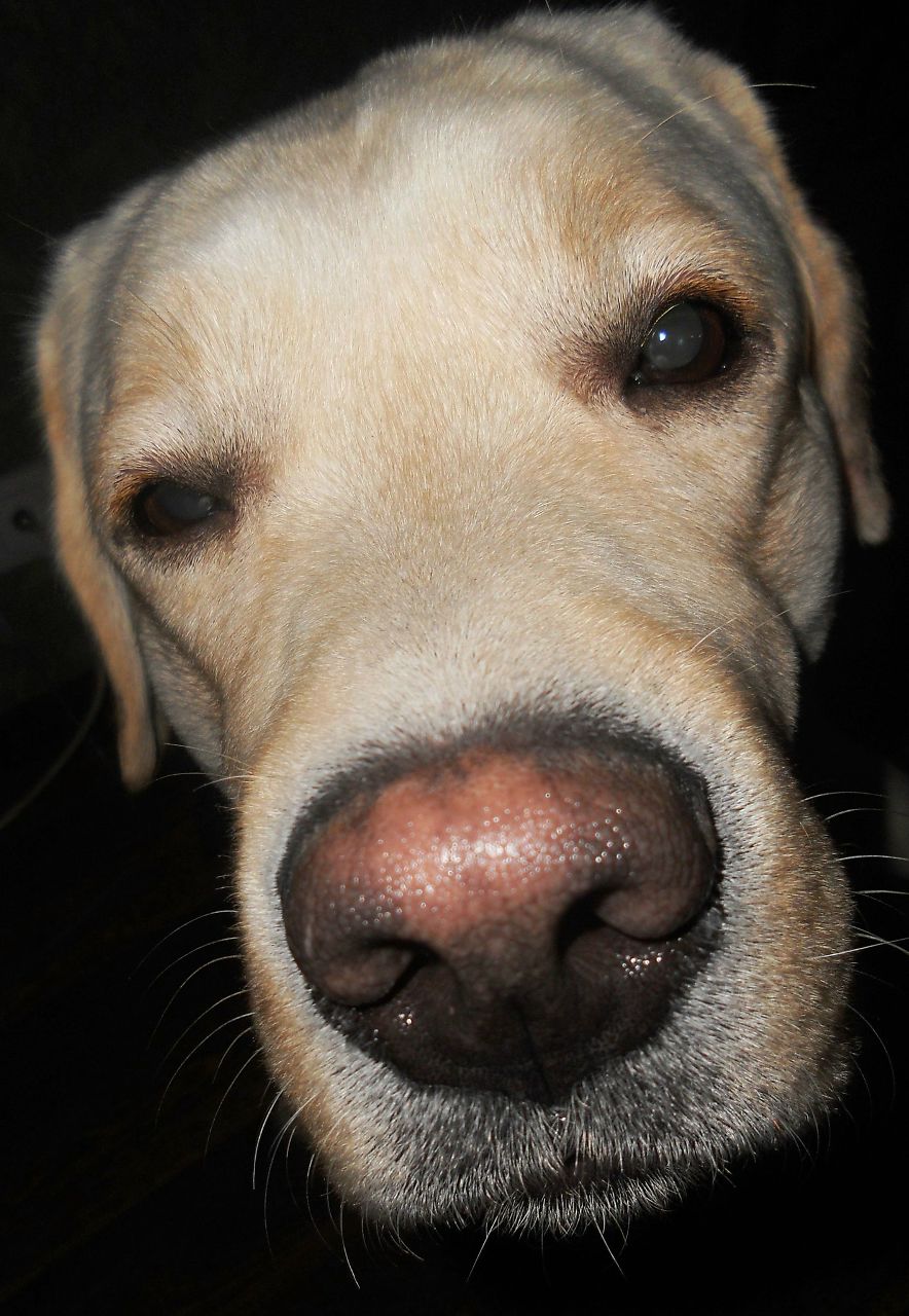 Кристина Ацманчук | 