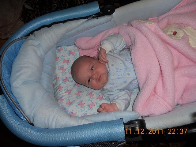 Ігор Тарас | Львов