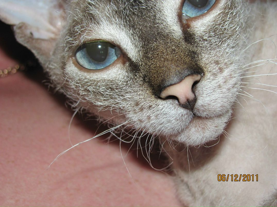 Александра Вадимовна | Москва