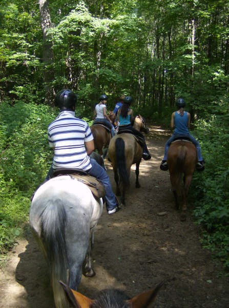 Сергей Сидоренко | Toronto