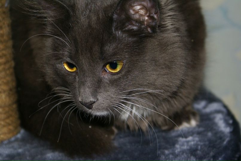 Сергей Прохоренко | Санкт-Петербург