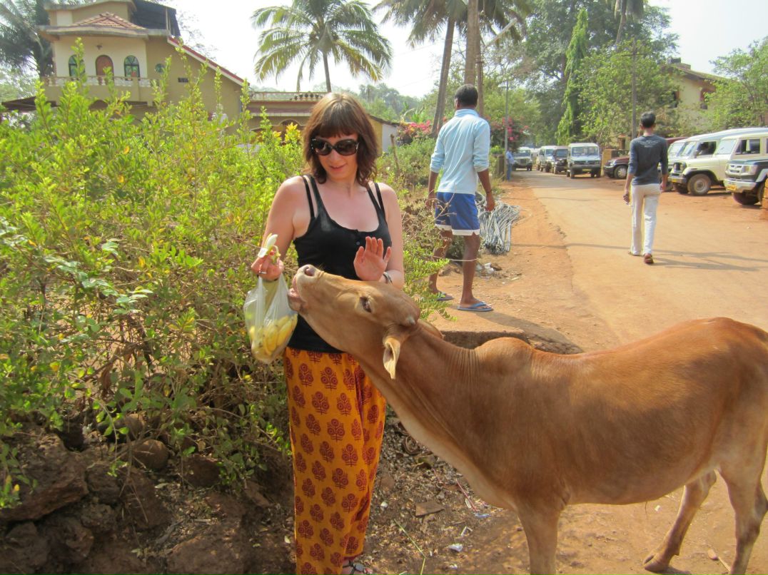 Екатерина Дорохова | 