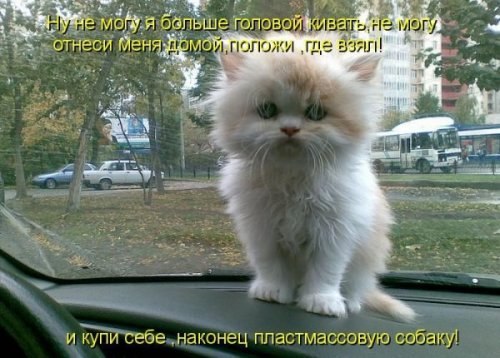 Елена Чиркова | Воронеж