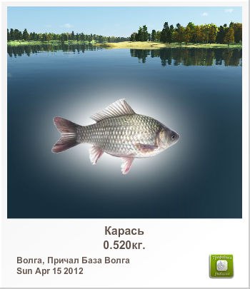 Валера Петрушенко | Киев