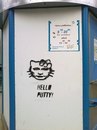 №37 Елена Антохина