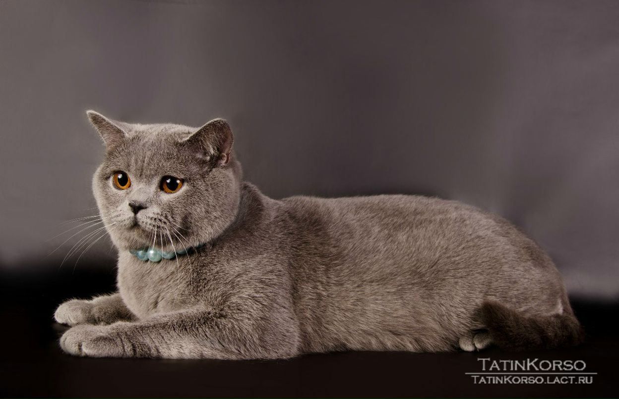 Алёна Копылова | Одесса