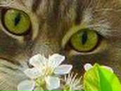 Сергей Антко - и - Светлана | Николаев