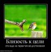 Дмитрий Паркаев фотография #21 (источник - https://vk.com/id61352140)