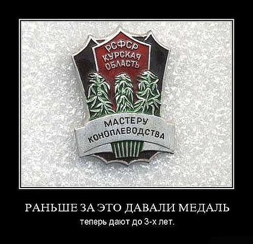 Ваня Приморский | Kingston