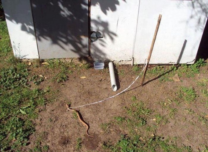 Нина Кочеулова | Москва