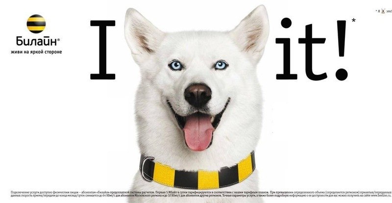 Игорь Самойлов | Киев