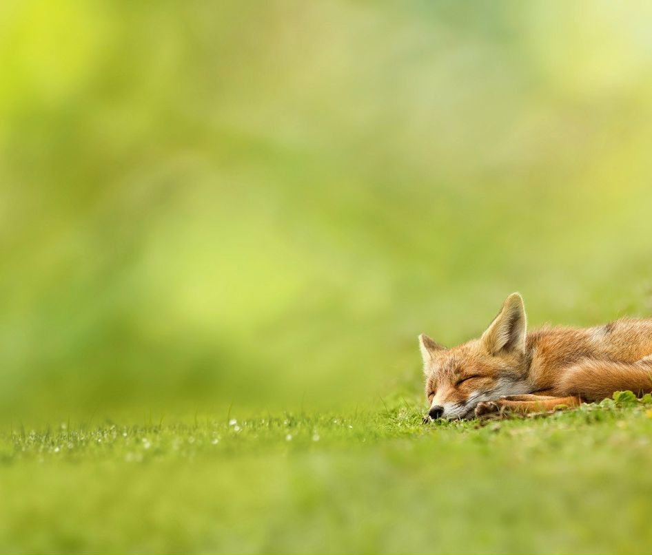 Наталья Глазкова | Москва