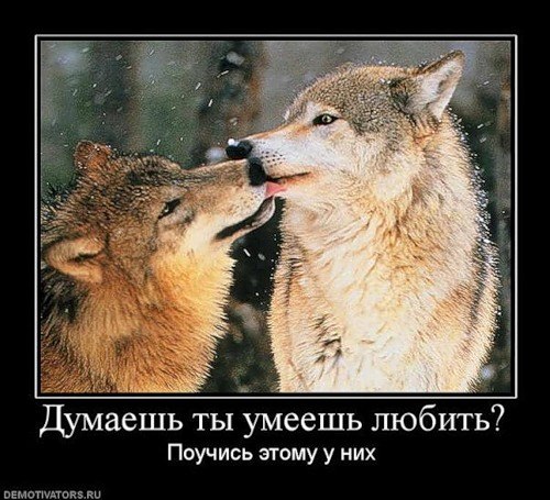 Светлана Камынина <КУКЛА> | Липецк