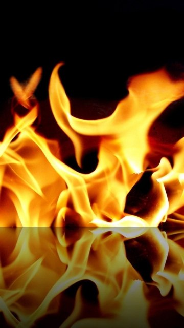 Дмитрий Санжаревский | Калининград