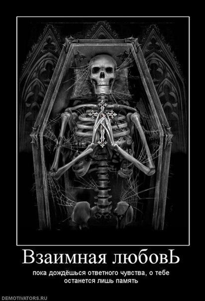 Алексей Гречаный | Киев