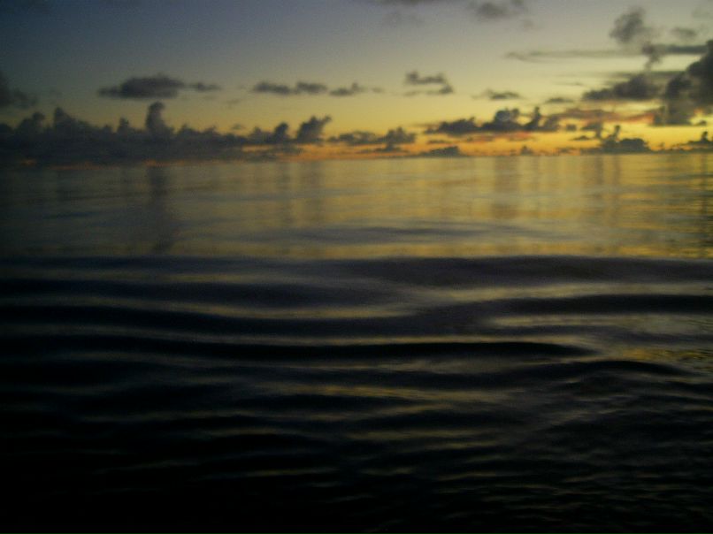 Алексей Островский | Одесса