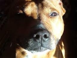 Алексей Макаровский | Санкт-Петербург