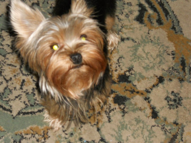 Софья Романовская | Санкт-Петербург