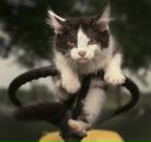 Фотография Егор Титов