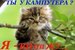 Мар'яша Труш фотография #6