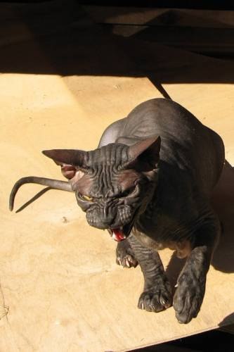 Максим Горковенко | Набережные Челны