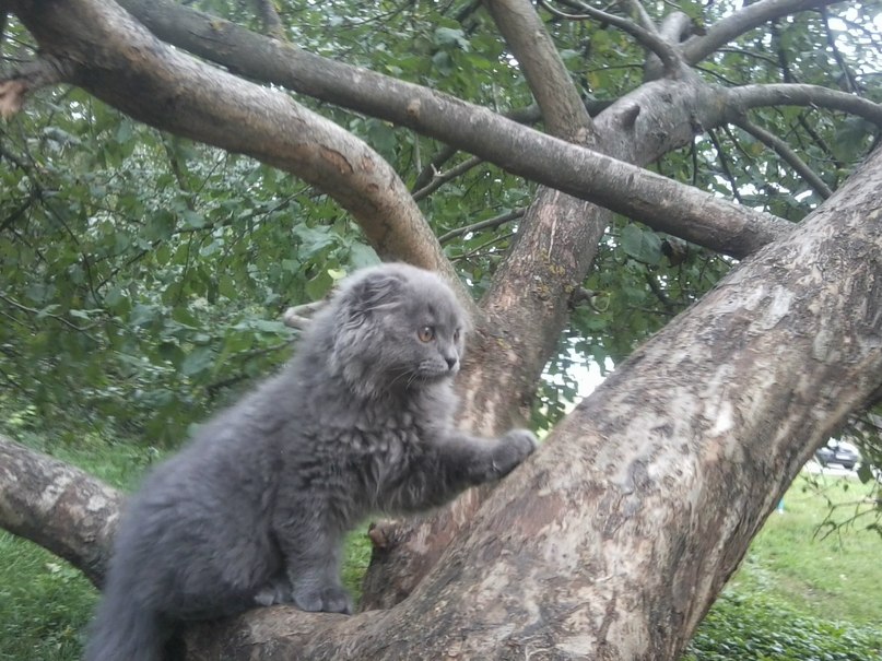 Игорь Парамонов | 