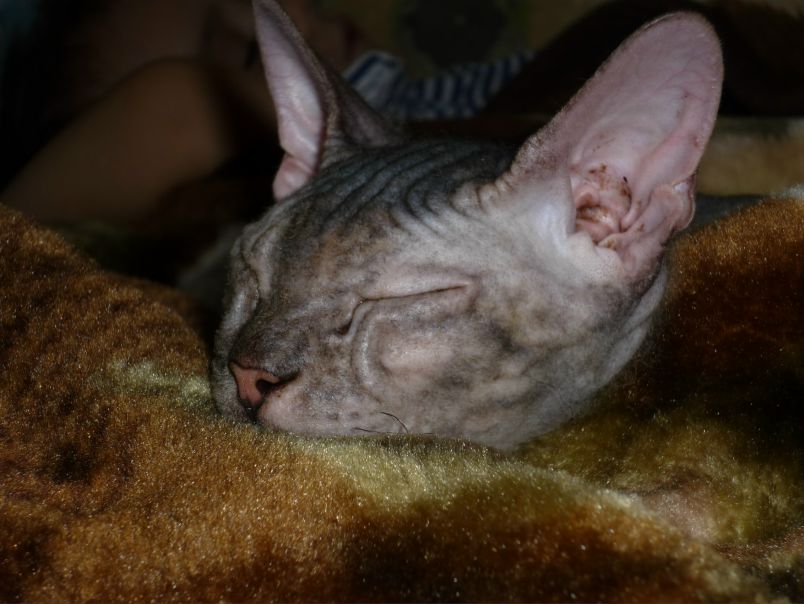 №58, Гульназ Гилязова, Казань №58, Гульназ Гилязова, Казань