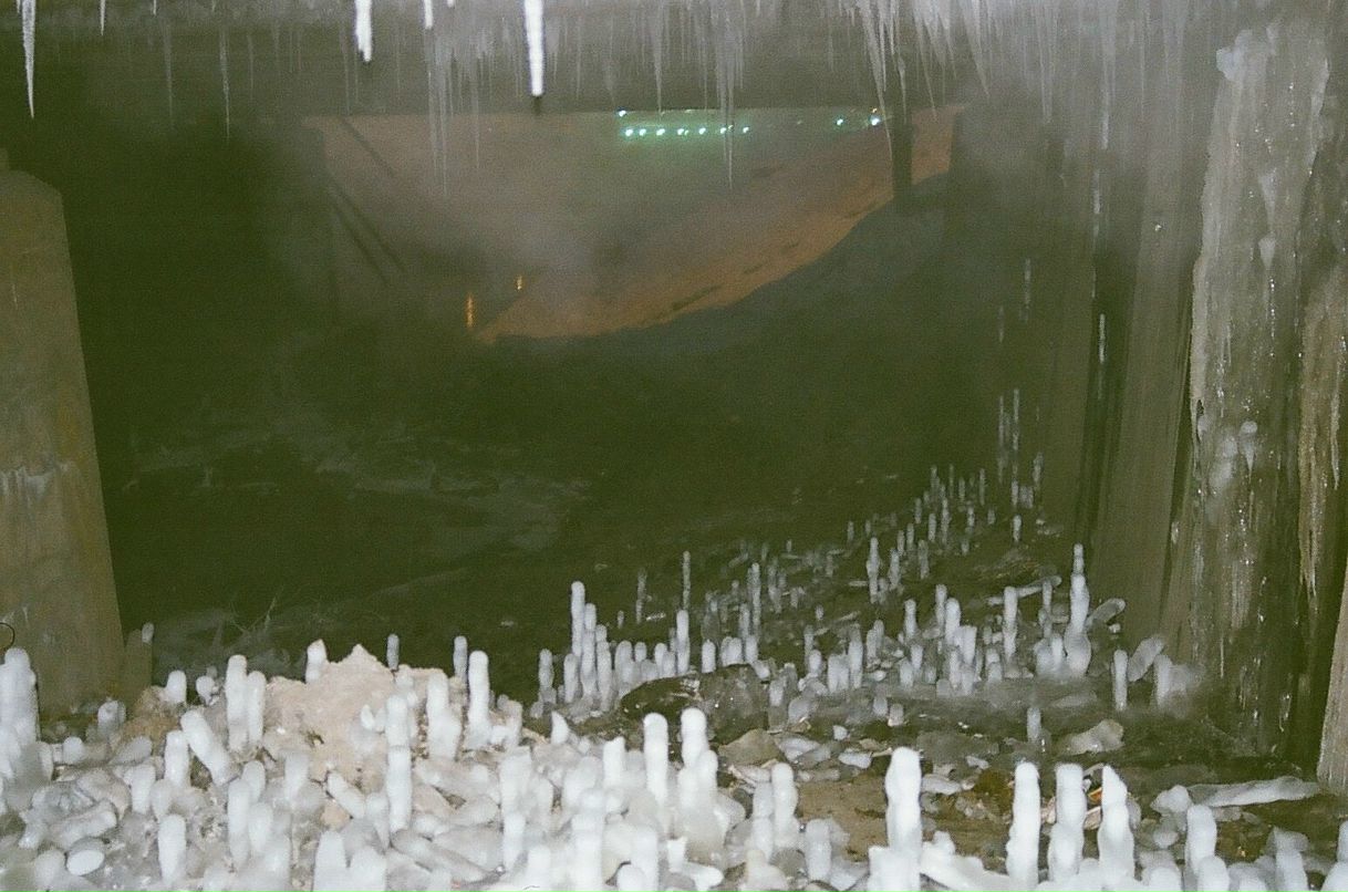 Кирилл Татарников Ежик | Новокузнецк