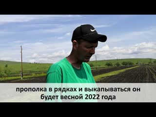 Репортаж с полей Биолит 2021