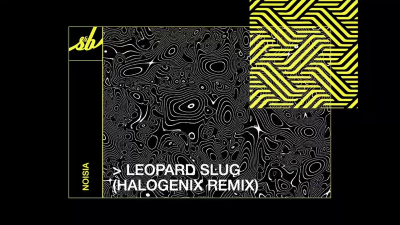 Noisia Leopard Slug ( Halogenix
