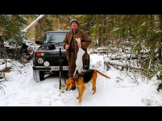 Охота на зайца беляка по ночному снегу Свирель вл.Шаторв В.А.