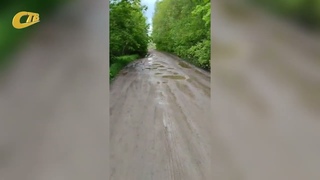 ЖИТЕЛИ ДЕРЕВНИ РЯСНИК ПРОСЯТ ОТРЕМОНТИРОВАТЬ ДОРОГУ К НАСЕЛЕННОМУ ПУНКТУ