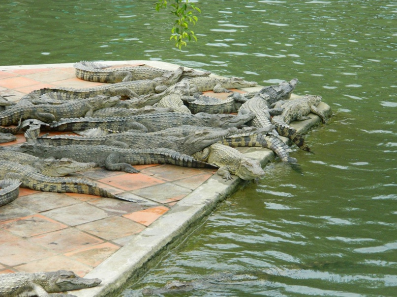 Александр Кригер TemperOK | Ноябрьск