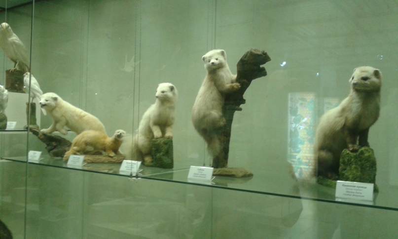 Алексей Нефедов | Москва