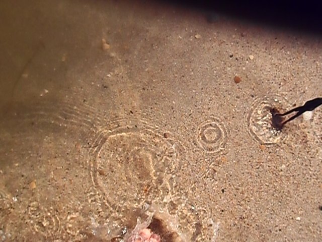 Елена Маркова | Санкт-Петербург