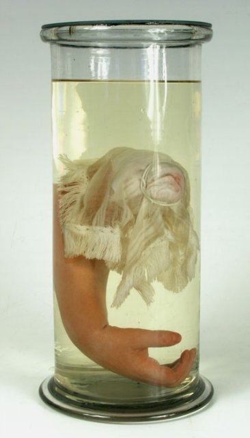 Михаил Страхов | Москва