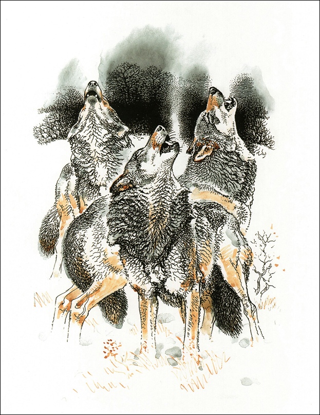 Светлана Вылегжанина | Киров