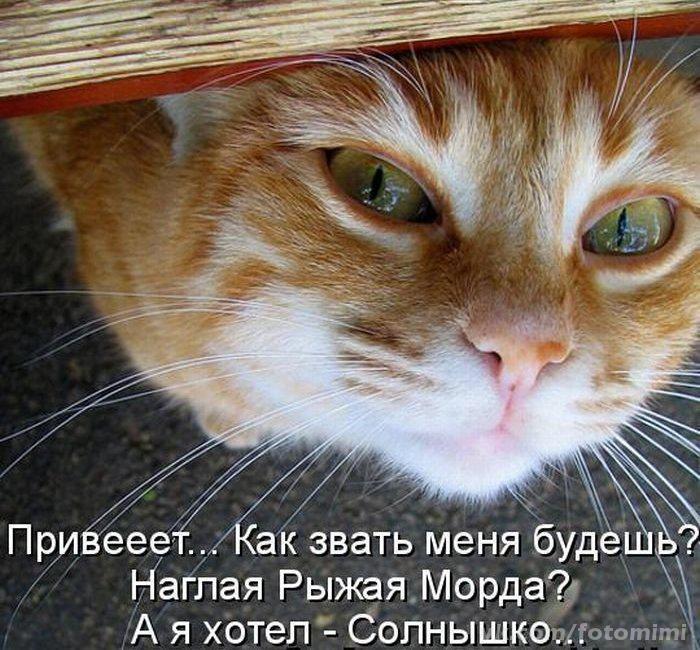 Елена Афанасьева | Приозерный