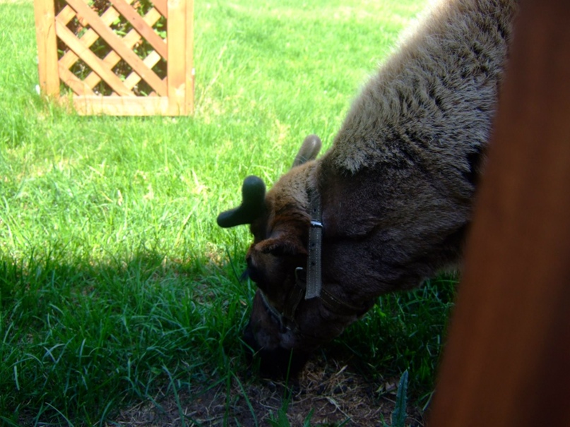 Юлия Егорова | Набережные Челны