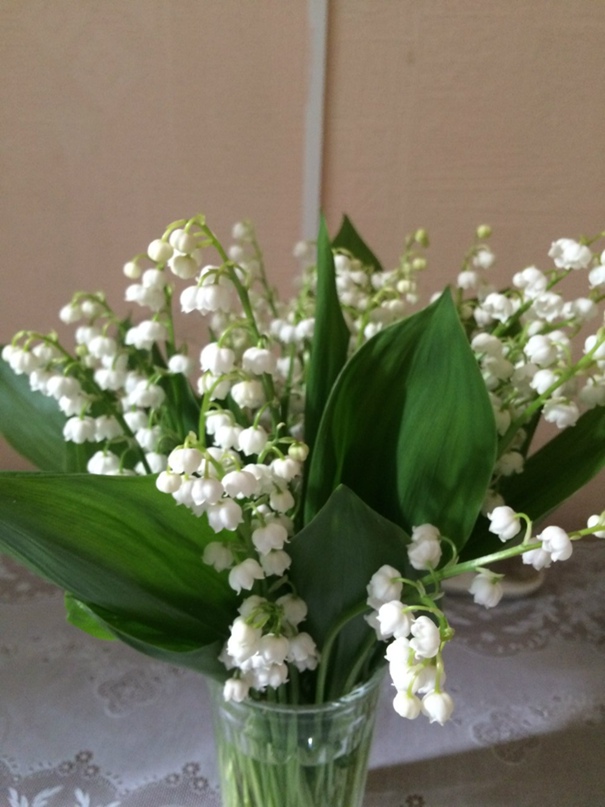 Светлана Харахордина | Санкт-Петербург