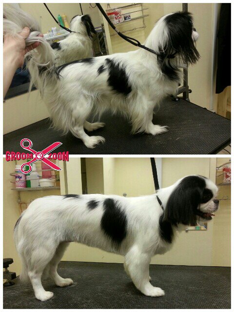 Ольга Мельник | Санкт-Петербург