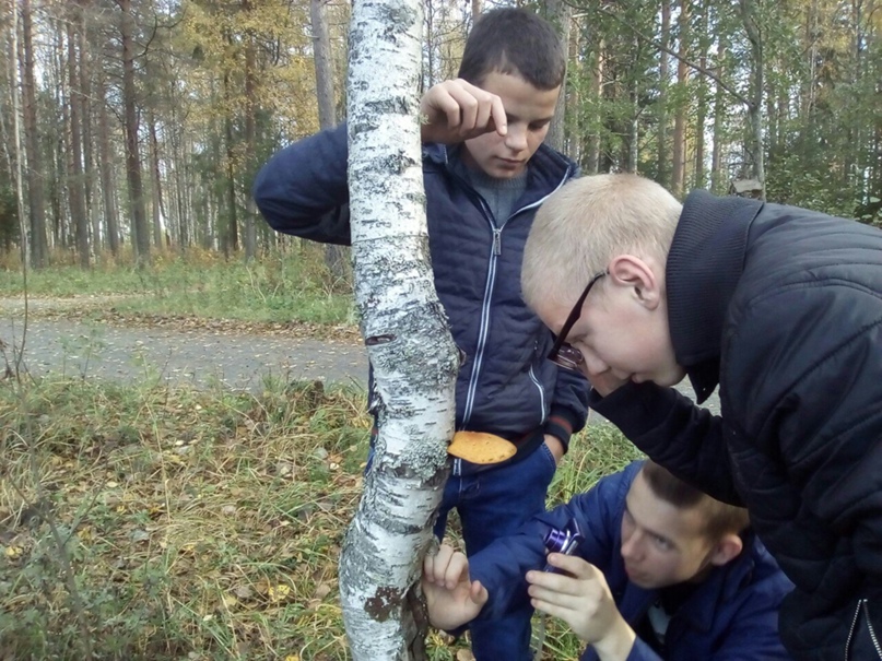 Светлана Логинова | Шипицыно