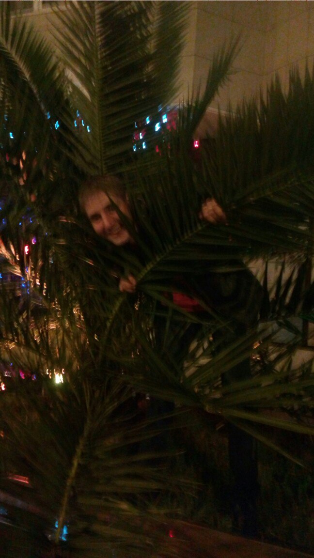 Вячеслав Бабкин |