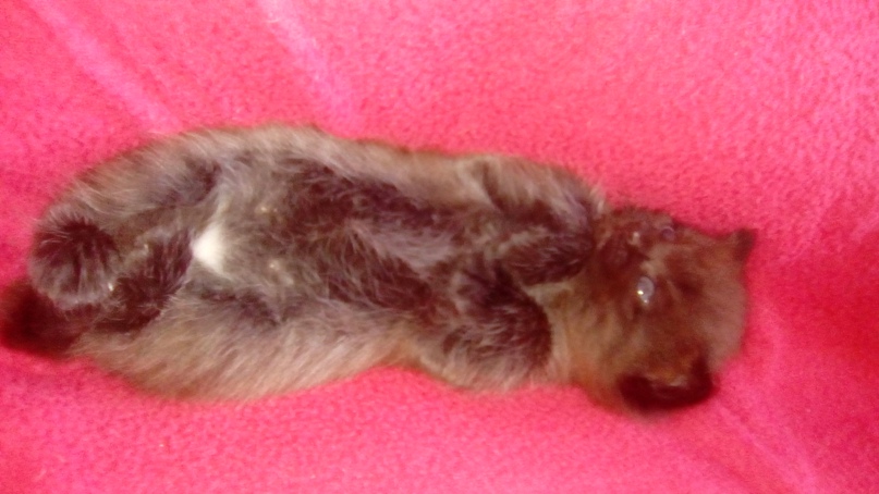 Алёна Фирсова | Магнитогорск