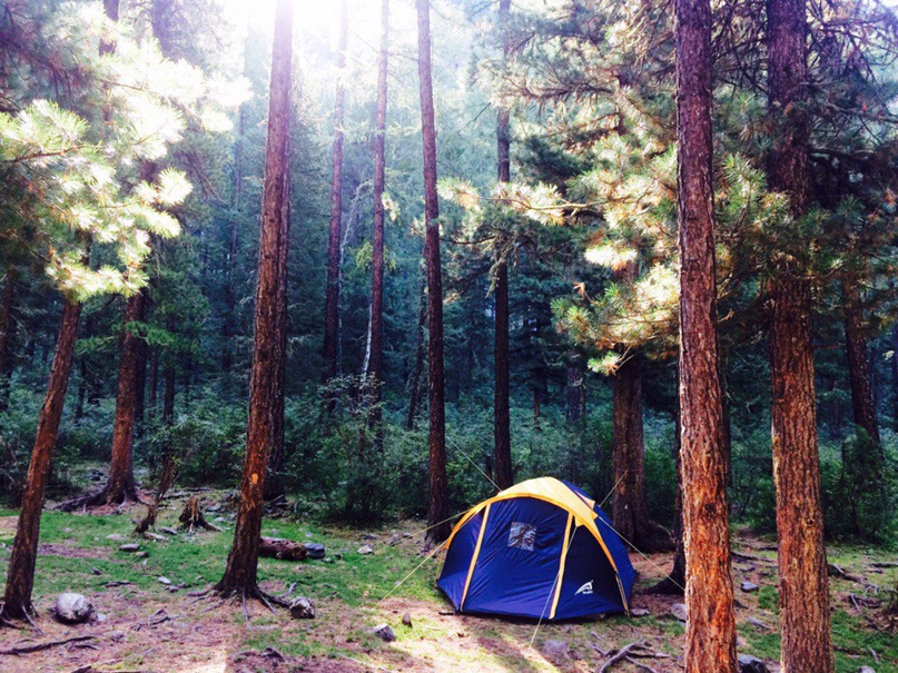 Дмитрий Чернов | Красноярск