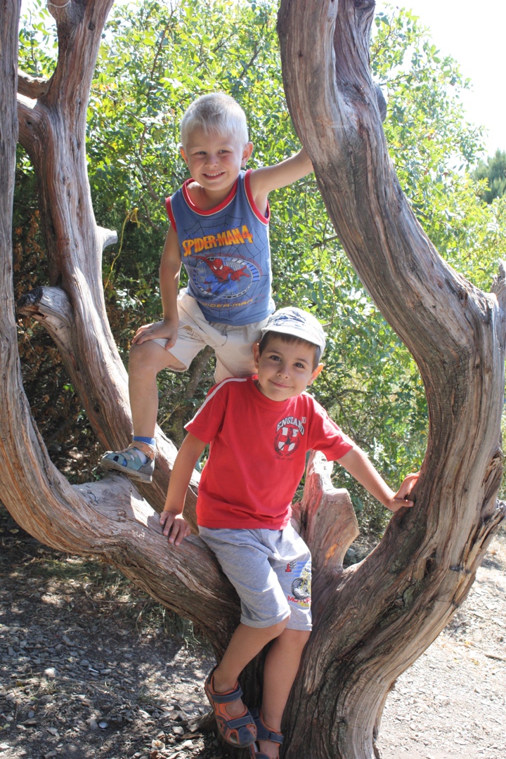 Виталий Апреликов | Санкт-Петербург