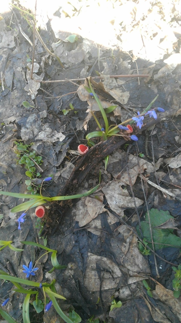 Светлана Кононенко | Днепр (Днепропетровск)